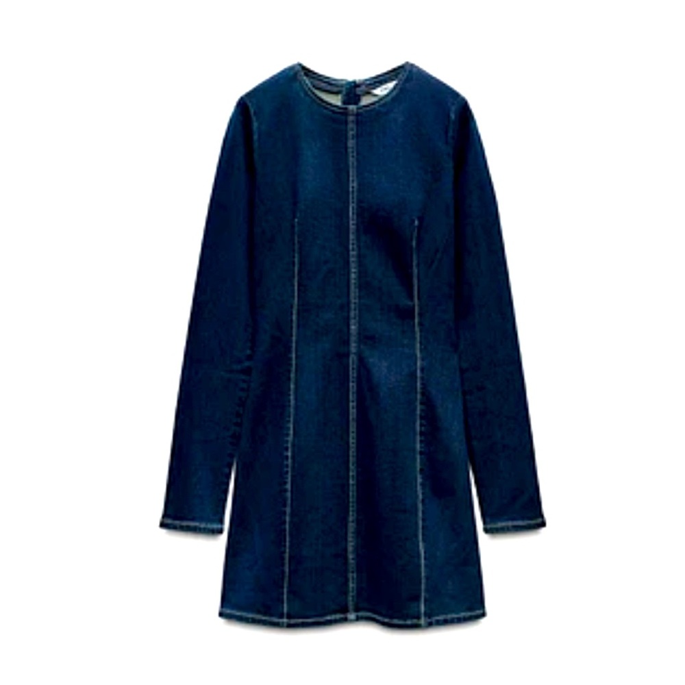 Zara Navy Long Sleeve Dress